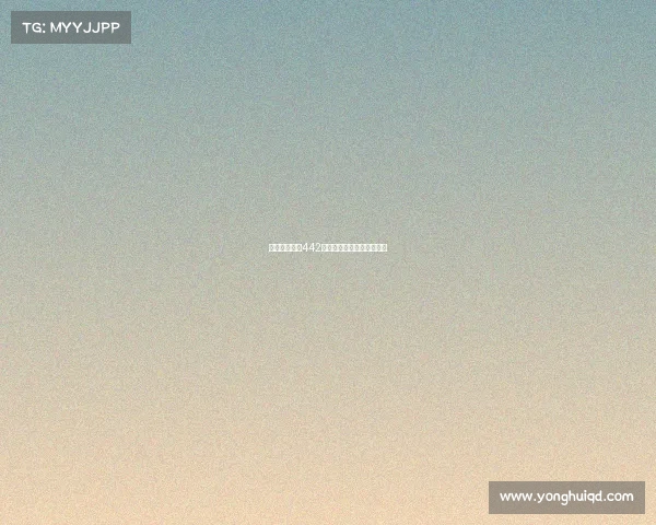 西甲球队经典442阵型解析及其战术运用探索